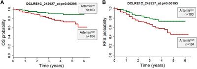 Artemis inhibition as a therapeutic strategy for acute lymphoblastic leukemia